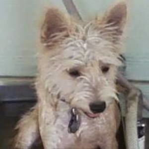 Meet your Posher, Lynne